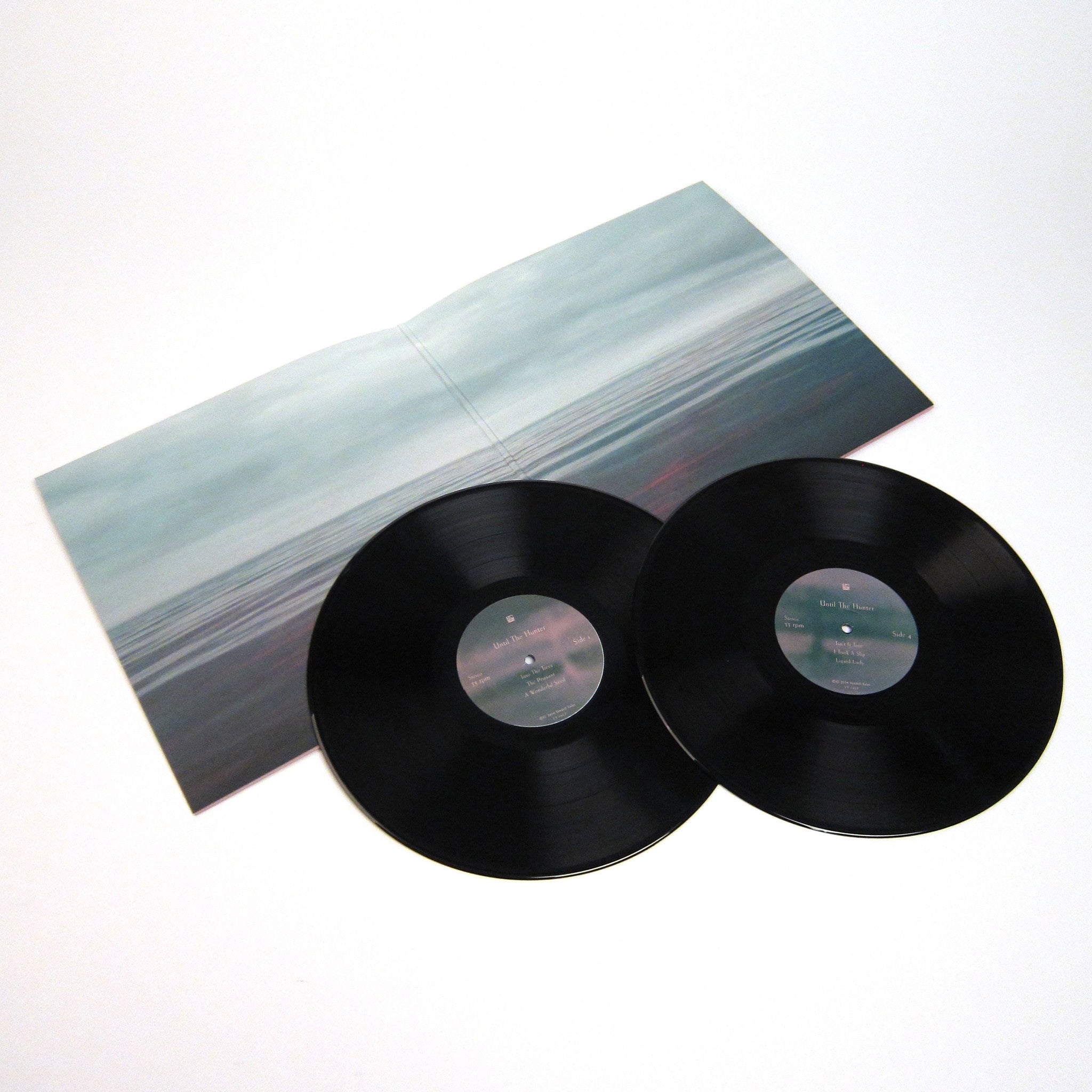 Hot Deal! Hope Sandoval & The Warm Inventions - Until The Hunter 2LP Vinyl