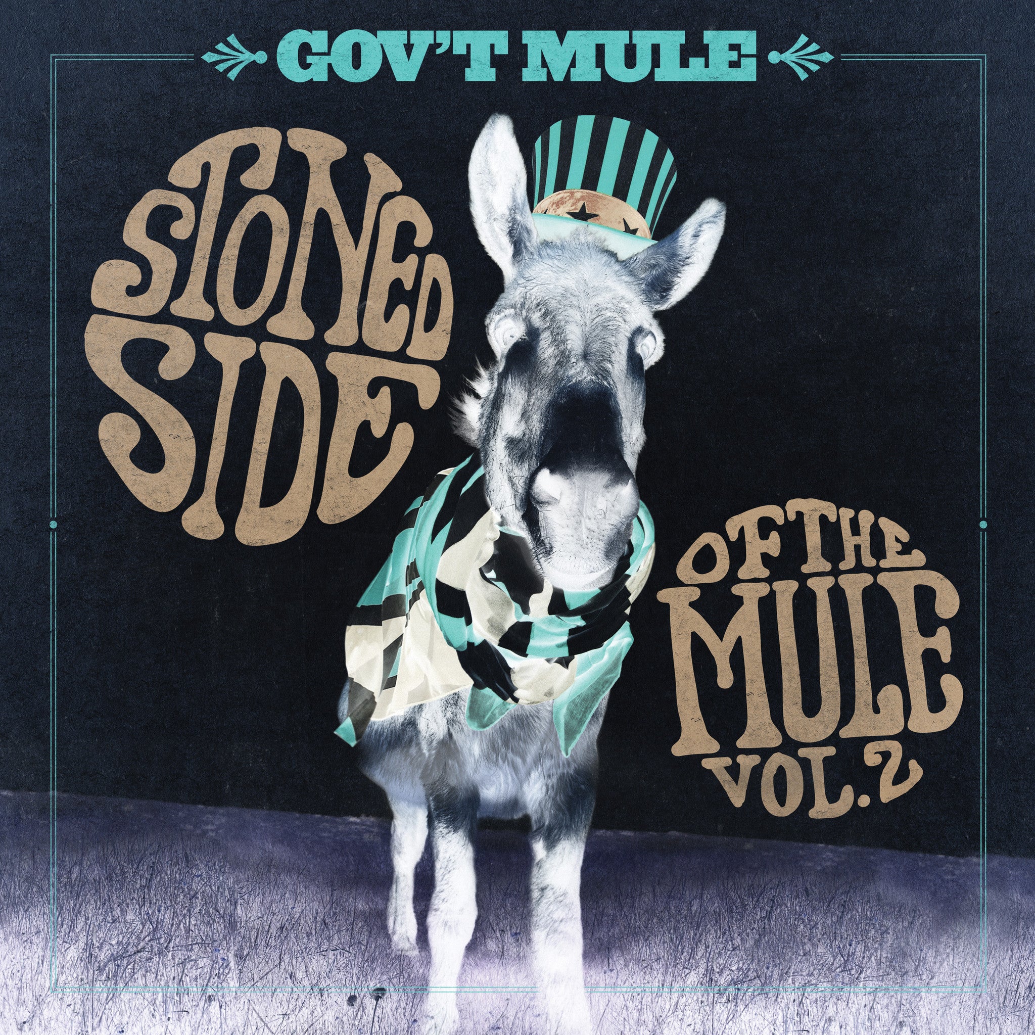 Gov't Mule: Stoned Side of the Mule Vol.2 - 180g Vinyl LP (Record Store Day Exclusive)