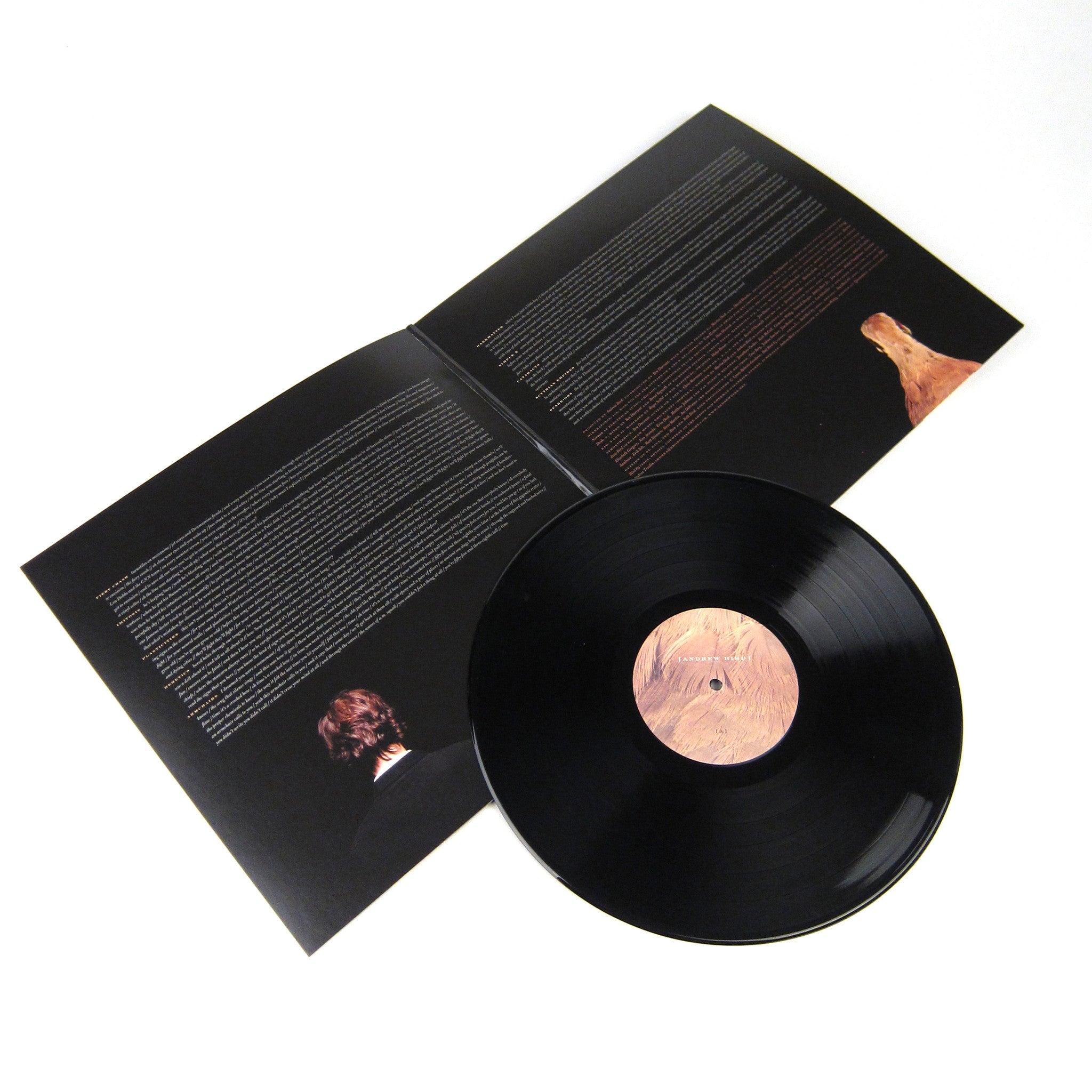 Andrew Bird's Armchair Apocrypha 180g Vinyl LP - A Must - Have!
